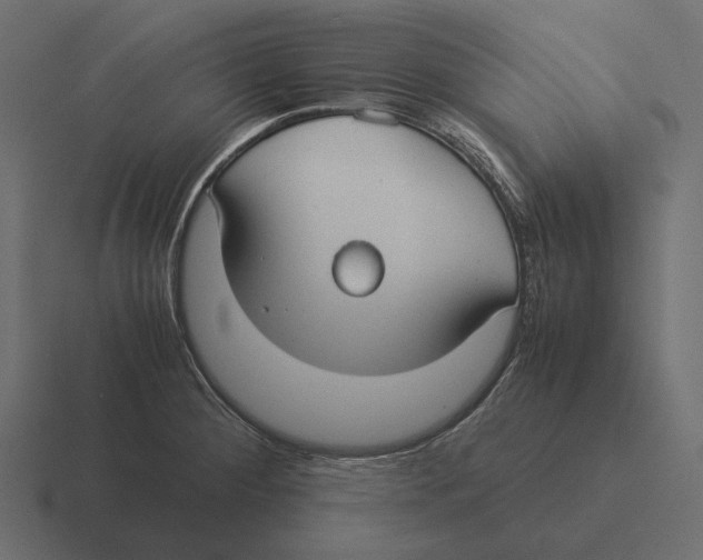 X0000116371284200912291703