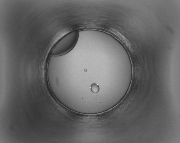 X0000116371285200912291703