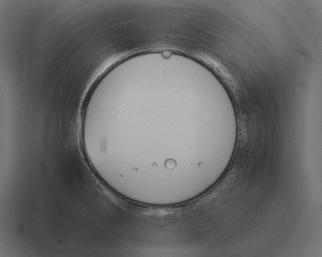 X0000116371286200912291703