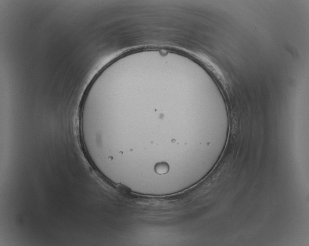 X0000116371287200912291703