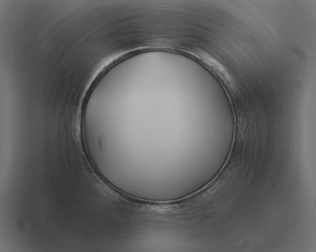 X0000116371288200912291703