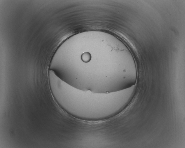 X0000116371289200912291703