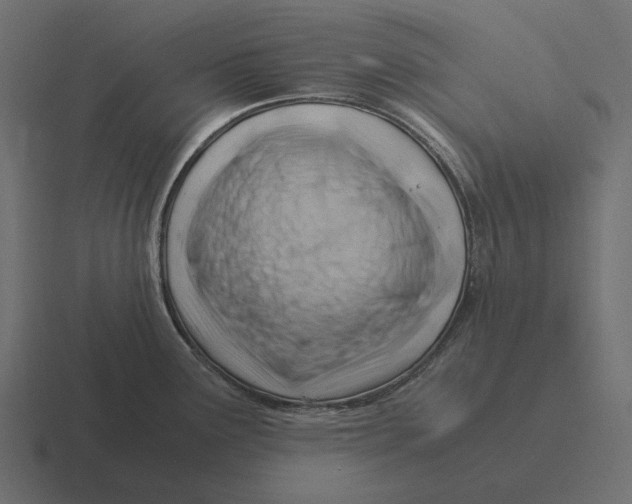 X0000116371291200912291703