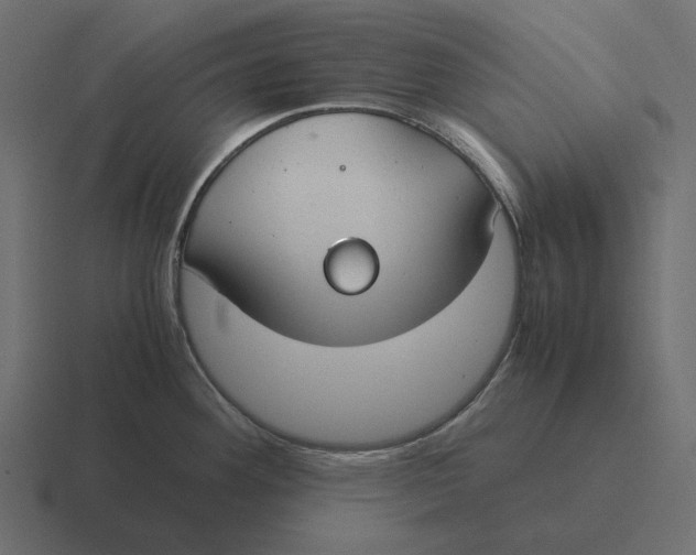 X0000116371292200912291703