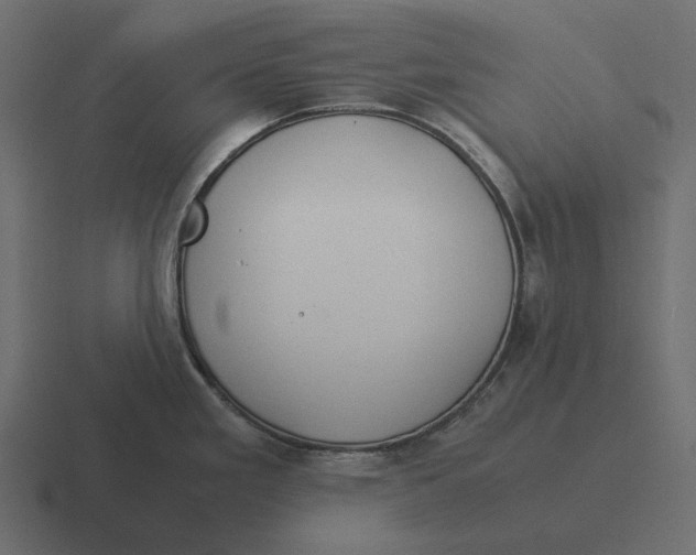 X0000116371293200912291703