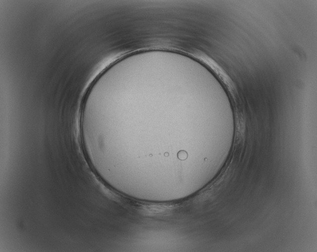 X0000116371294200912291703