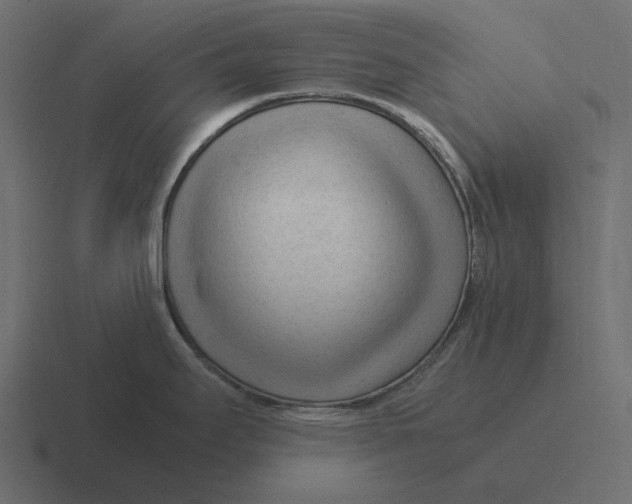 X0000116371295200912291703