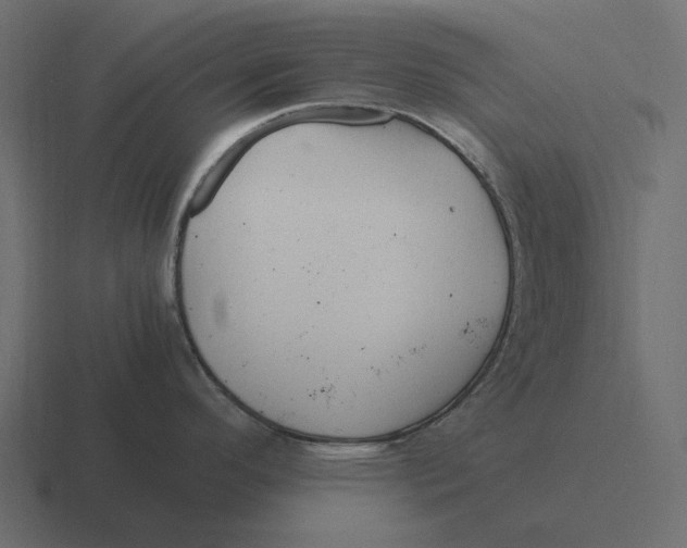 X0000116371296200912291703