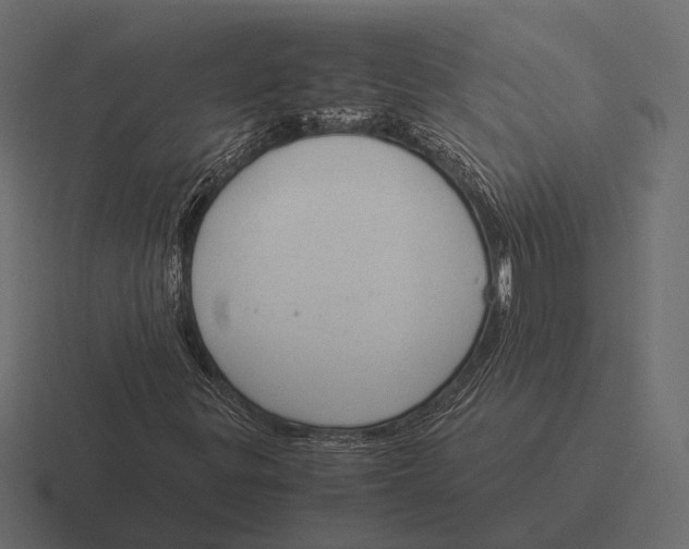 X0000116371299200912291702