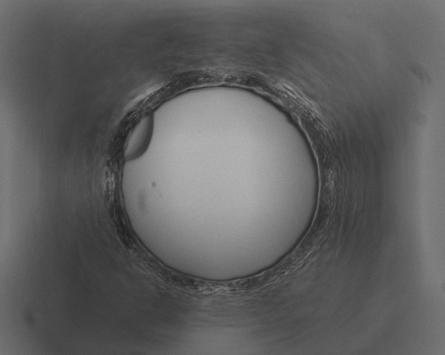 X0000116371302200912291702