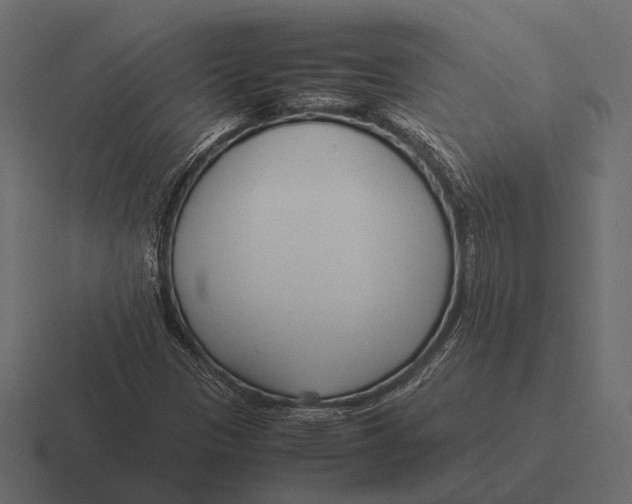 X0000116371305200912291702