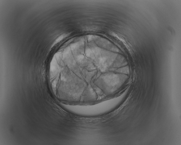 X0000116371306200912291702