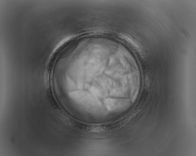 X0000116371310200912291702