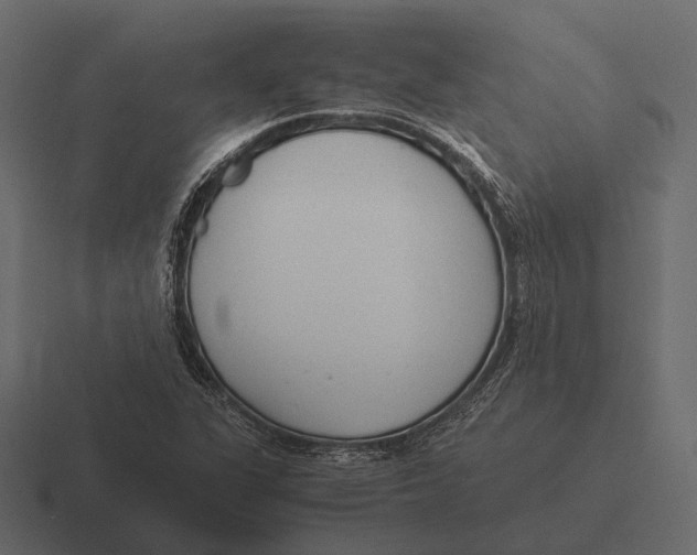 X0000116371311200912291703