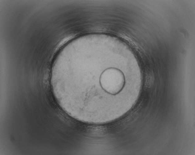 X0000116371314200912291703