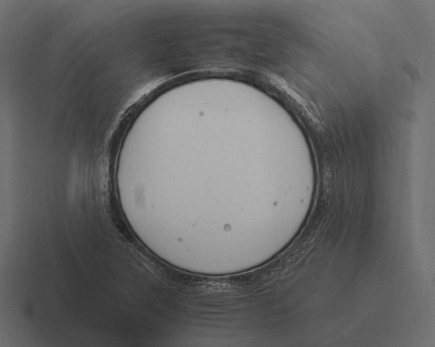 X0000116371315200912291703