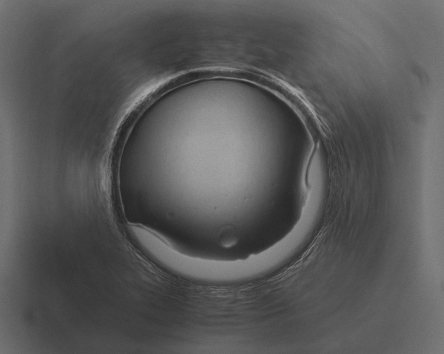 X0000116371319200912291703