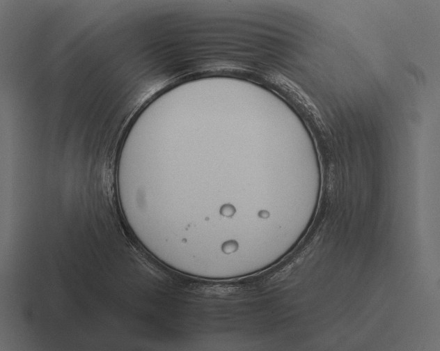 X0000116371321200912291703