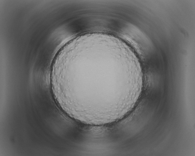 X0000116371322200912291703