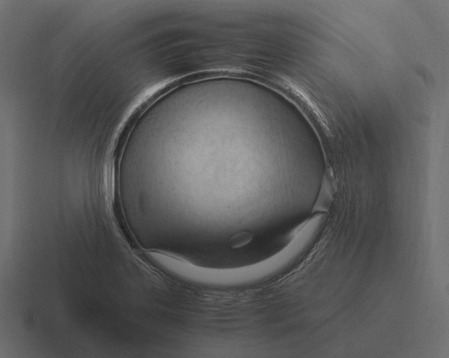 X0000116371323200912291703