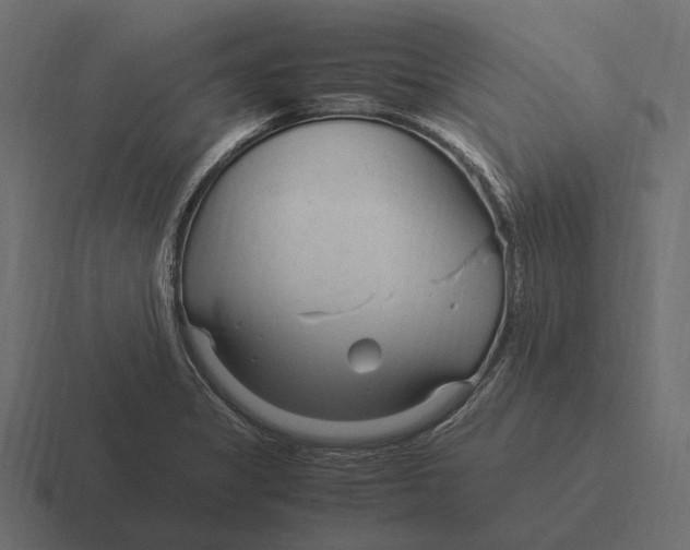 X0000116371325200912291703