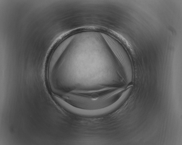 X0000116371327200912291703