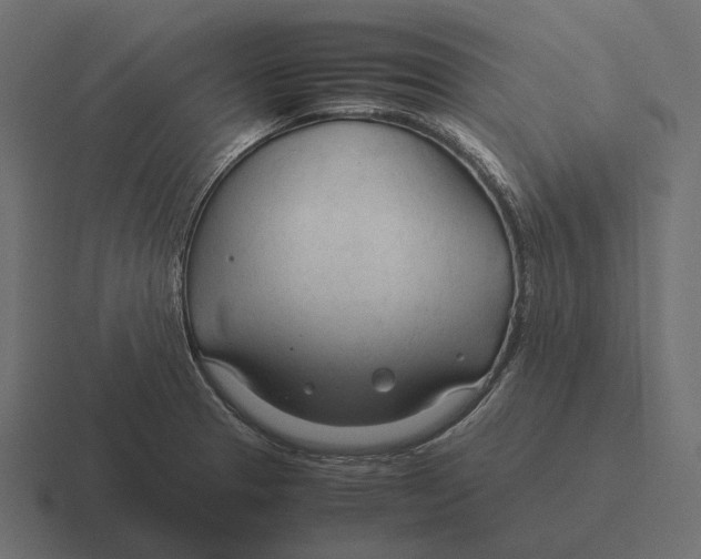 X0000116371329200912291703