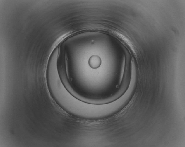 X0000116371330200912291703