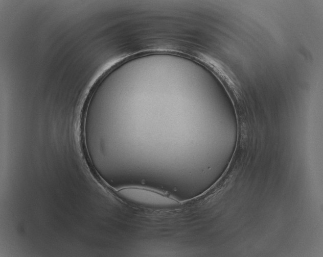 X0000116371331200912291703