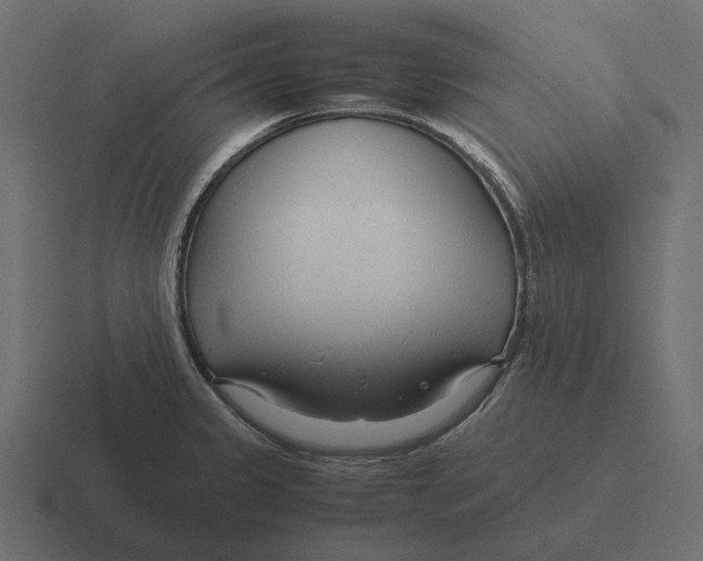 X0000116371333200912291703