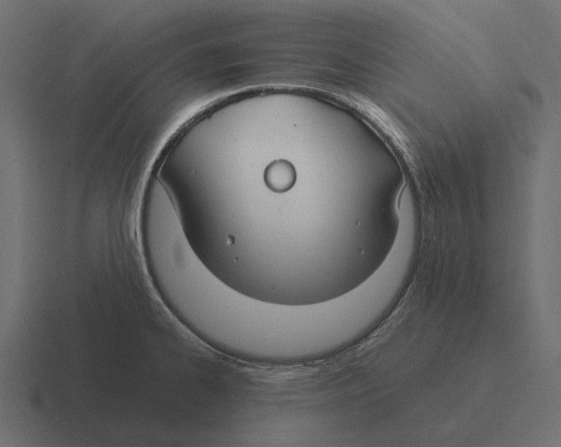 X0000116371334200912291703