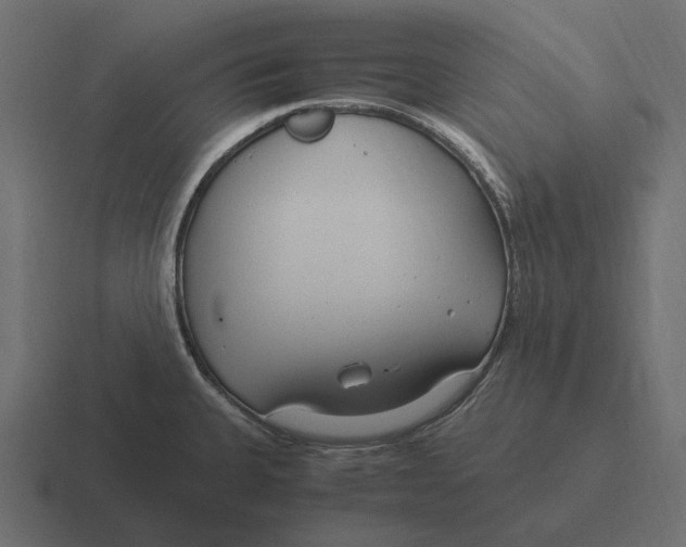 X0000116371335200912291703