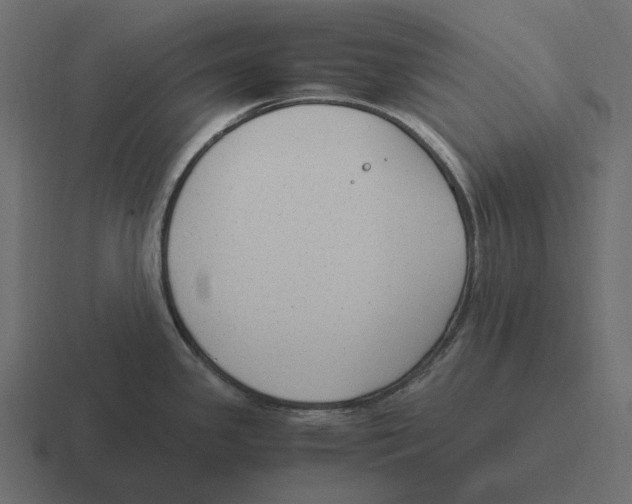 X0000116371341200912291703