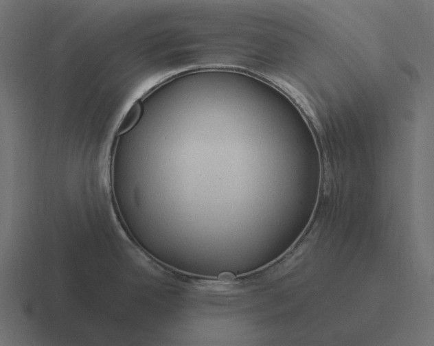 X0000116371342200912291703