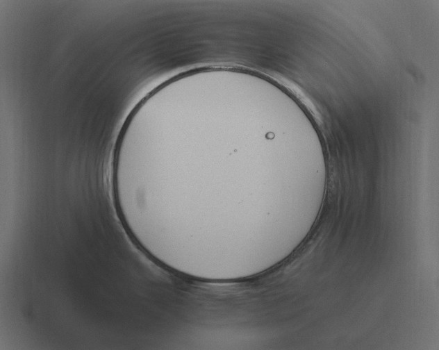 X0000116371343200912291703