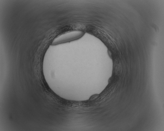 X0000116371345200912291702