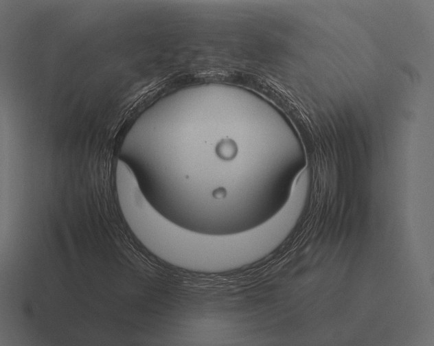 X0000116371348200912291702