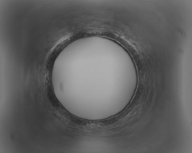 X0000116371351200912291702