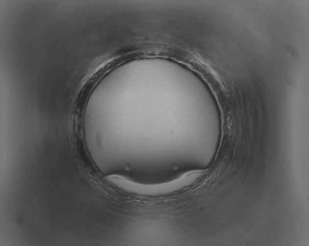 X0000116371352200912291702