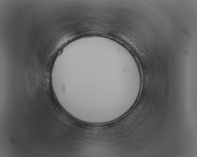 X0000116371355200912291702