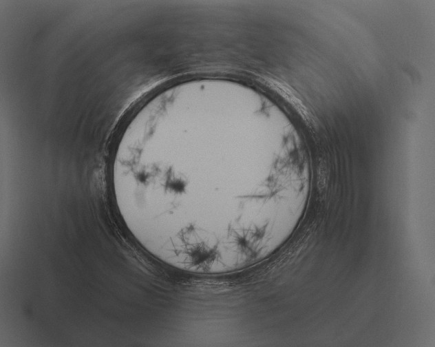 X0000116371356200912291702