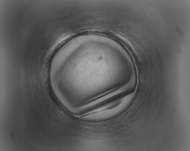 X0000116371359200912291702