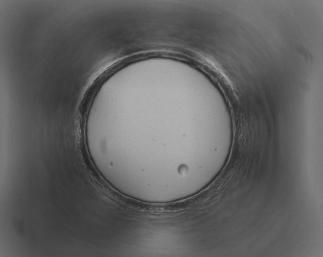 X0000116371360200912291702