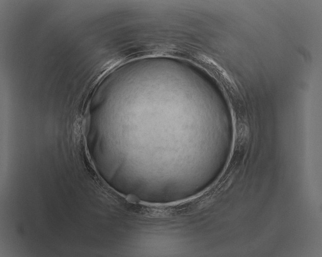 X0000116371361200912291702