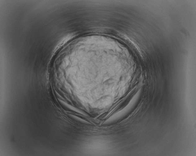 X0000116371362200912291702