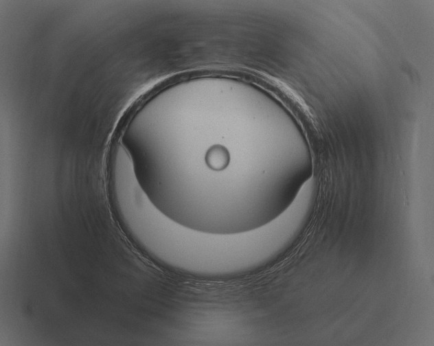 X0000116371364200912291702