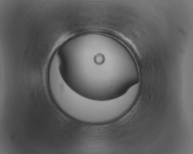 X0000116371365200912291702