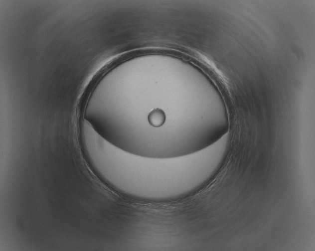 X0000116371368200912291702