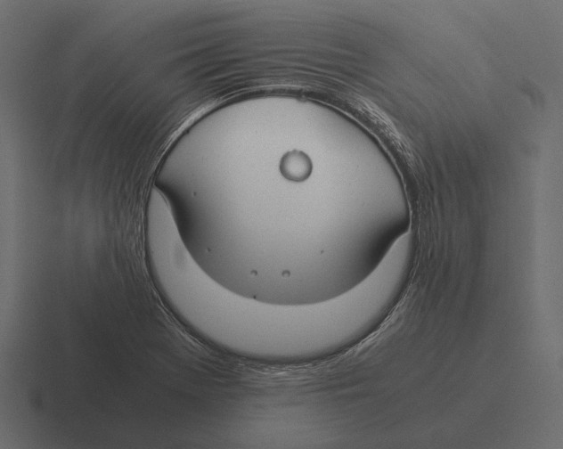 X0000116371369200912291702