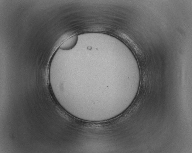 X0000116371370200912291702